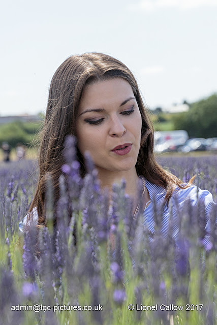 Lavender portrait 