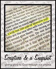 Scripture and Snapshot