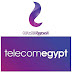 وظائف الشركة الرابعة للمحمول (المصرية للاتصالات) Telecom Egypt