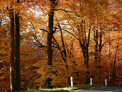 autumn wallpapers. Autumn Wallpapers