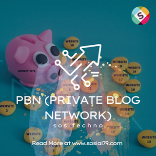 Pengertian PBN atau Private Blog Network