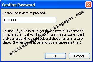 konfirmasi password excel