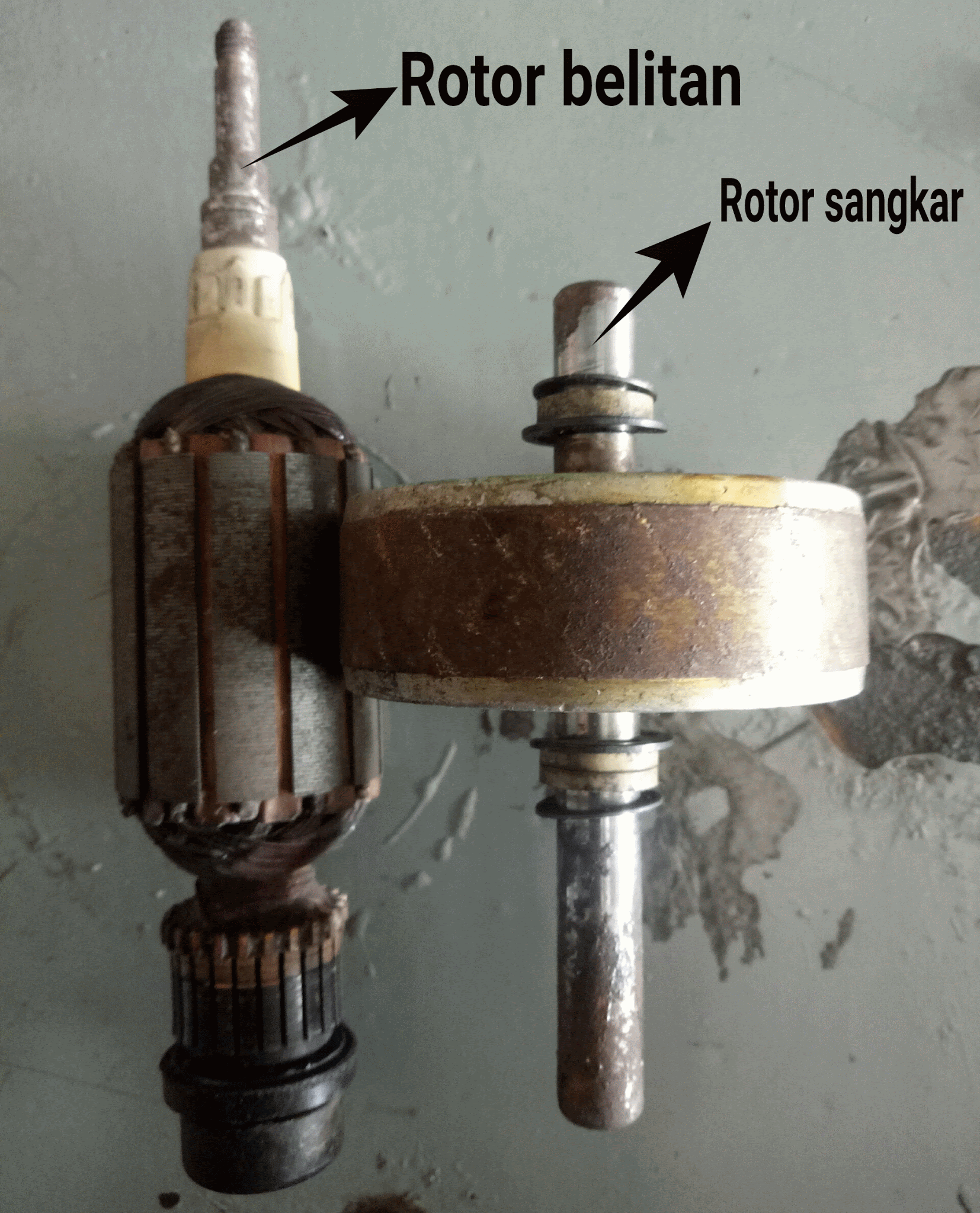 Mengenal motor listrik 1 phase.gif