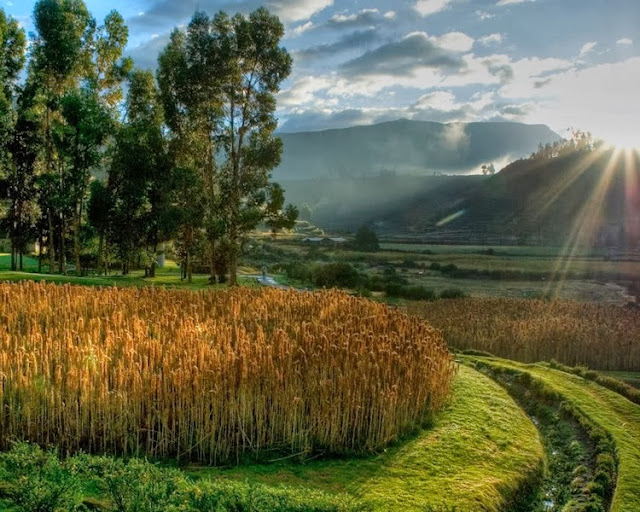 Colca Canyon