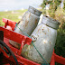 Milk Urns on Irish Milk Cart