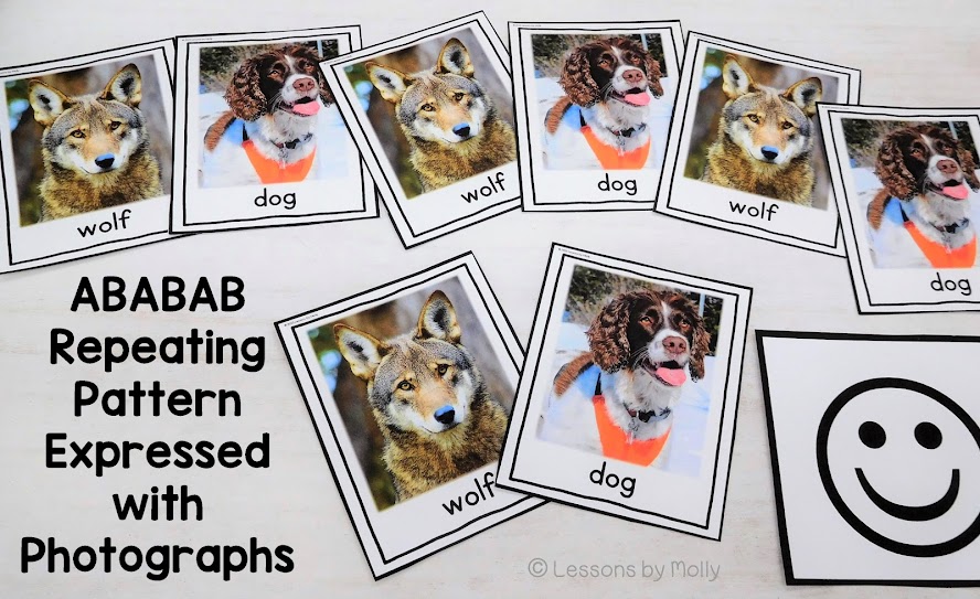 In the photo, a small group of photo cards displays an ababab pattern using images of a wolf and a dog. The pattern alternates between a photo card of a wolf and a photo card of a dog, creating a visually engaging repeating sequence.