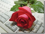 Roses 1024x768 (1) wallpapers