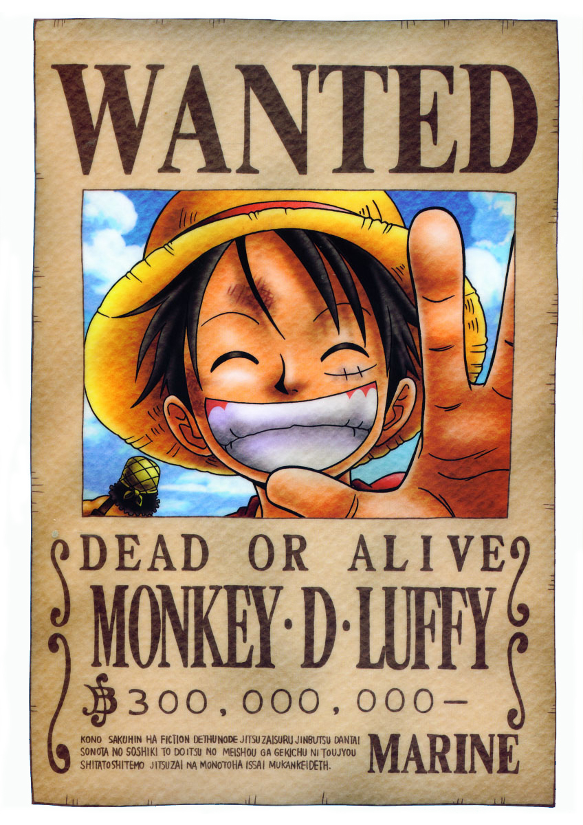 3rd: Monkey D.Luffy