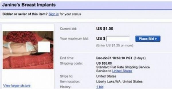 Funny And Strange eBay Auctions