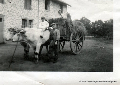 Photo ancienne d'Auvergne : lieux divers.