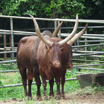 zoo melaka