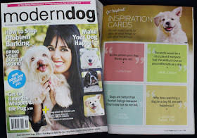 The Returns 2 ~ Showstoppers quote in Modern Dog magazine