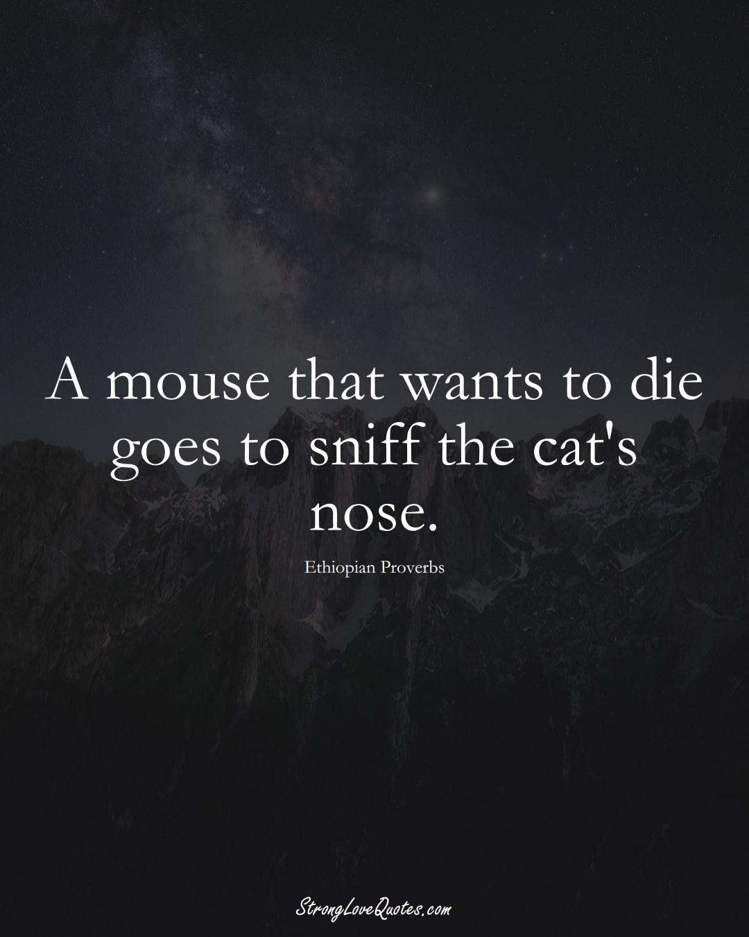 A mouse that wants to die goes to sniff the cat's nose. (Ethiopian Sayings);  #AfricanSayings