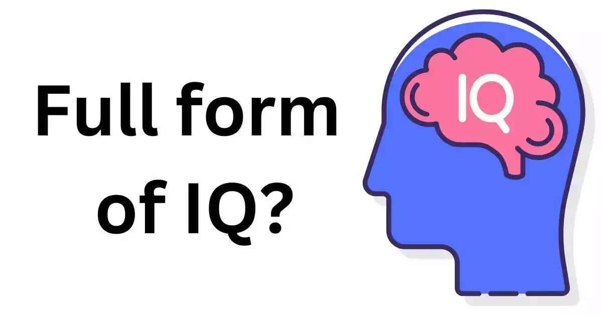 IQ Full Form - What Does IQ Stands For?