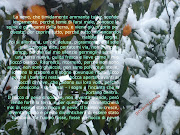 Un fiocco di neve. di Giovanni Pistoia. La neve, che timidamente ammanta .