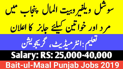 Social Welfare and Bait-Ul-Maal Punjab Jobs 2019