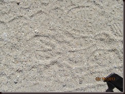 IMG_1321[1]