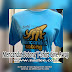 MENCANDAT SOTONG T-SHIRT GIVE AWAY