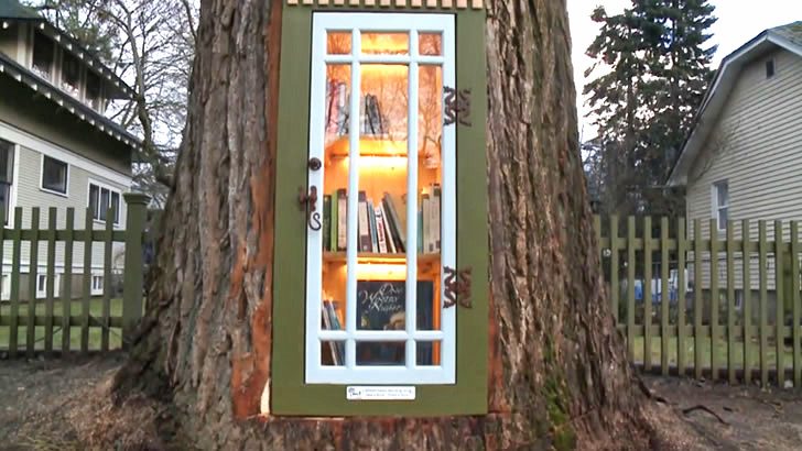 Esta biblioteca comunitaria da nueva vida a un árbol viejo