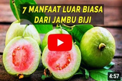 https://keranjangkesehatan.gankoko.com/2021/01/jambu-biji-berkhasiat.html