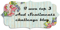 Top 3 Challenge #231 Bingo + A Sentiment