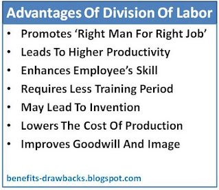 advantages division of labor