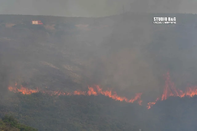 Πυρκαγιά σε ορεινή περιοχή του Δήμου Επιδαύρου