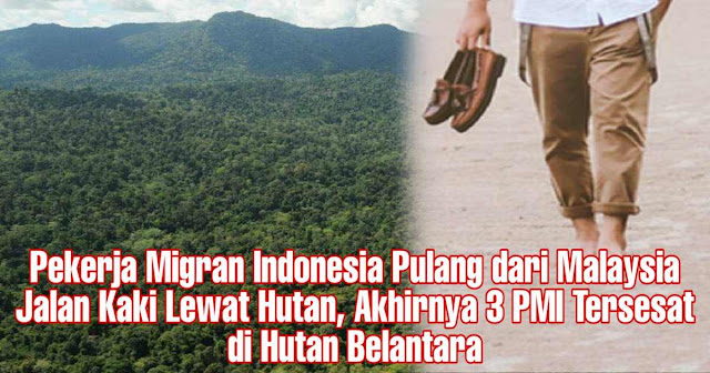 Pekerja Migran Indonesia Pulang dari Malaysia Jalan Kaki Lewat Hutan, Akhirnya 3 PMI Tersesat di Hutan Belantara