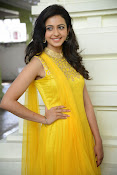 Rakul Preet Singh Gorgeous looking Photos-thumbnail-27