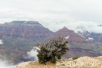 grand-canyon-by-studio68