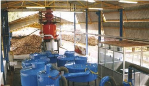 The Biomass Dilemma