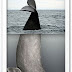 Día Nacional de la Ballena Franca Austral