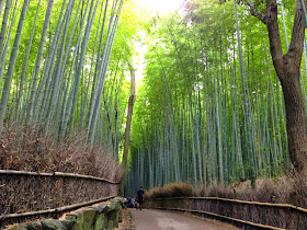 Bamboo Grove Arashiyama Kyoto