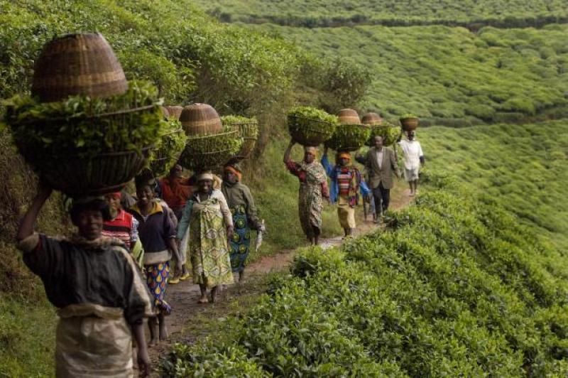 En kolay ticaret yapılan Afrika ülkesi Ruanda