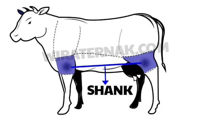 bagian shank pada daging sapi muda biasanya digunakan untuk membuat