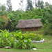 View album