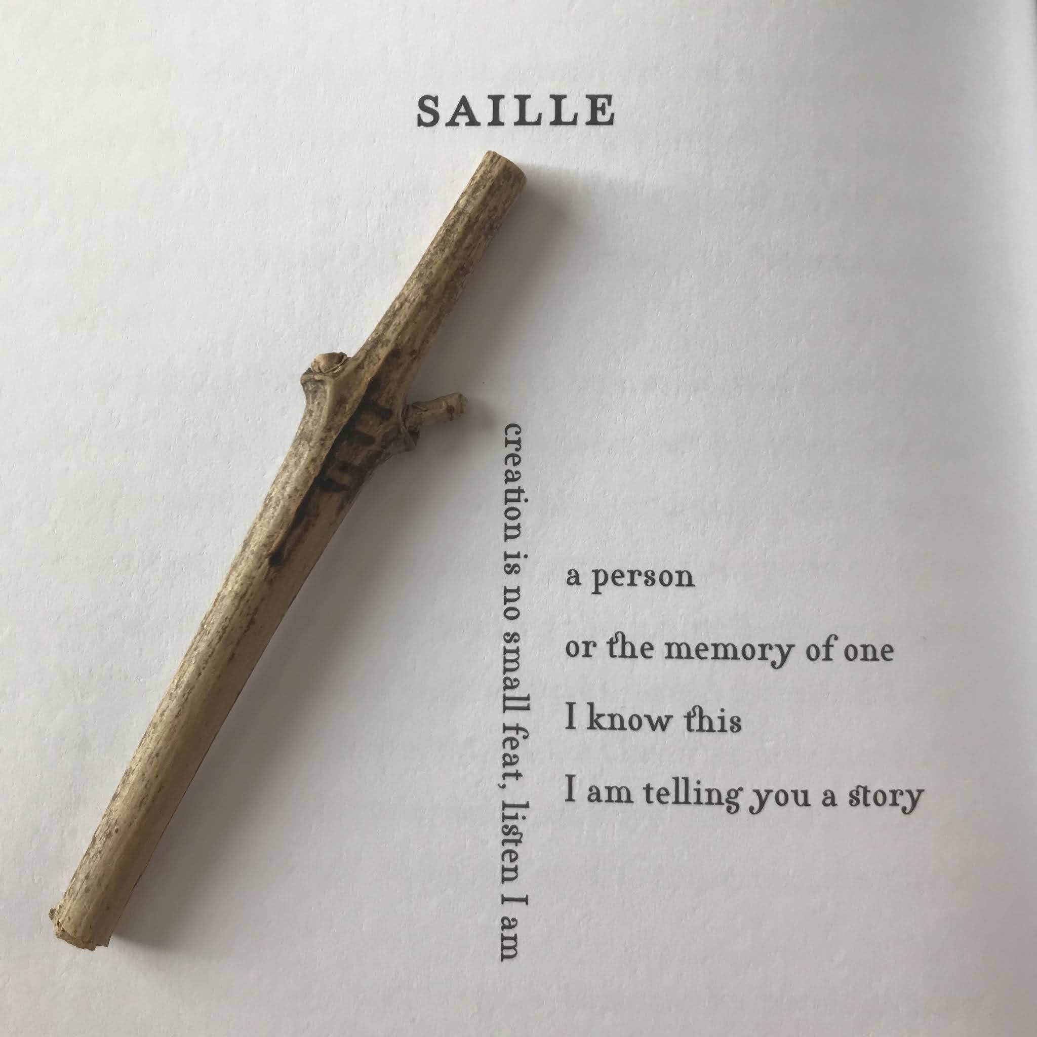 A photo of one of the Ogham Calligrams in Savage Her Reply, Saille, along with the twig with the same Ogham rune carved into it I was sent along with my review copy