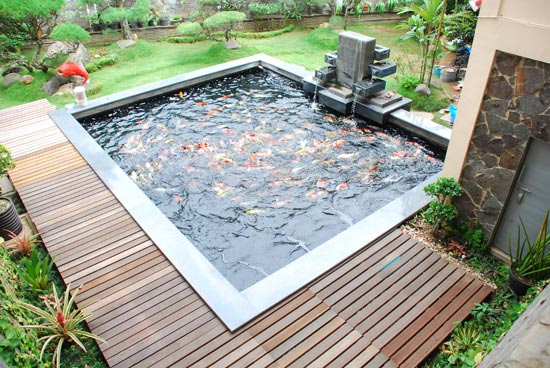 CONTOH KOLAM  IKAN PADA TAMAN  DESAIN  freewaremini