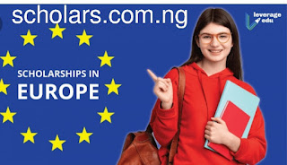 European Engineering Scholarships in Engineering Student awards from the European