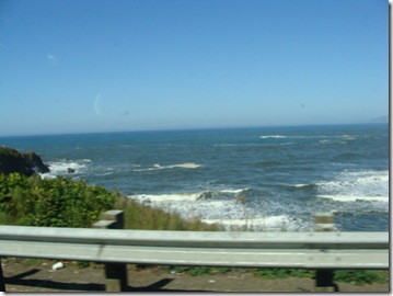 DSC03390