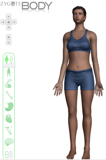 Zygote Body looks almost the same still requires a browser that supports