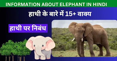 Information about elephant in Hindi