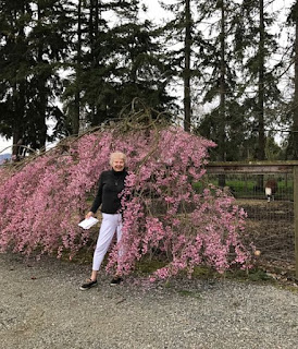 Beth - Springtime in the Pacific NW