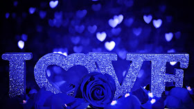 i love you with rose wallpaper