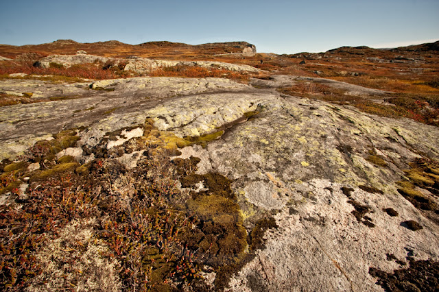 Felsenplatte in der Hardangervidda, Norwegen. Foto ©Susanne Krauss, München - www.susanne-krauss.com