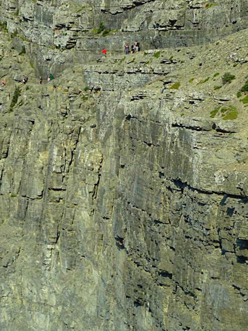DSC07740b