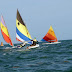 BARAHONA: Vuelve Regata Palito Seco viernes y sábado