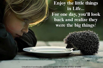 Enjoy little things in life, For one day, you'll look back and realize they were the big things