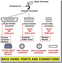 back panel ports and connectors back panel ports and connectors