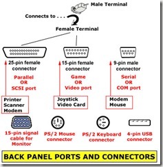 back panel ports and connectors